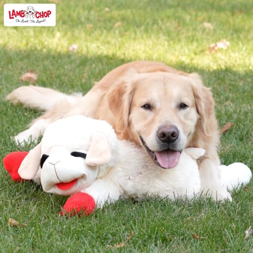 Multipet Lamb Chop Dog Plush Toy - Squeaky Toy for All Dogs - Extra Soft Plush - Stuffed Animal for Cuddling & Playing - Jumbo (24", Cream) - size: 24" Jumbo, style: White