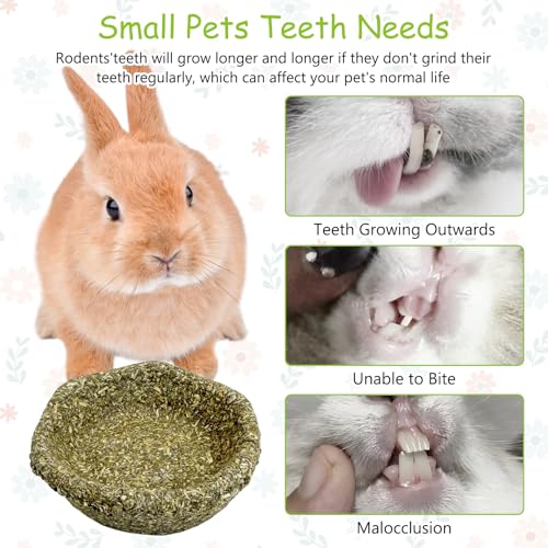 6 Pack Rabbit Chew Toys for Teeth Timothy Hay Chewing Bowl Natural Guinea Pig Treat Edible Small Animal Molar Toys for Bunny Chinchilla Hamster Gerbil Rat - color: Green