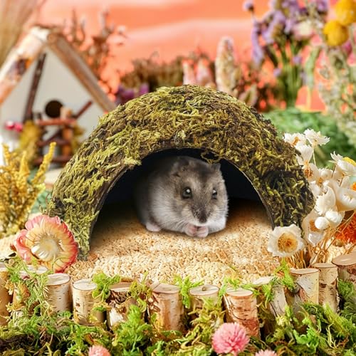 BNOSDM Hamster Hideout Natural Mossy Cave Hamster Houses and Hideouts Moss Covered Coconut Enclosed Hiding Hut for Mice Habitat Hamster Cage Accessories for Dwarf Gerbil Syrian Fancy Mouse (Large) - size: Large-1Pcs
