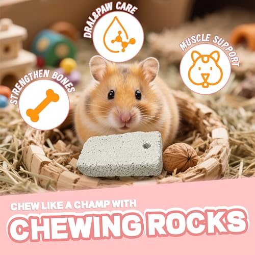 18 Pcs Small Animal Pet Lava Bites Chews Toy Mineral Calcium Stone Bunny Teeth Grinding Block for Hamster Chinchilla Rabbit Squirrel Rat Parrot Guinea Pig