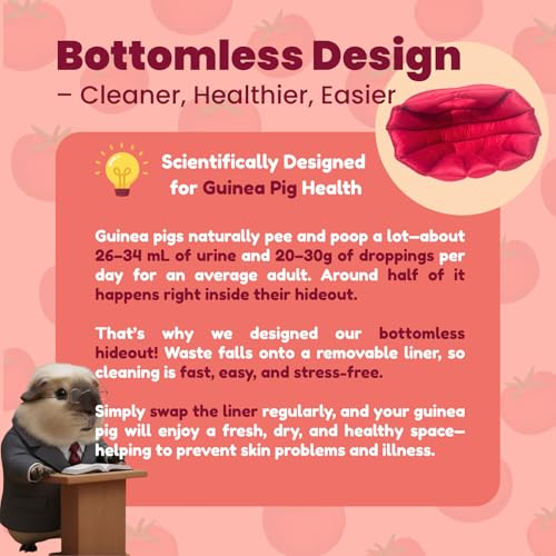 Guinea Pig Hideout Bed, Tomato-Shaped Bottomless Plush House | Cute tomato design. Bottomless easy-clean structure. Thick plush comfort. Cozy hideout for guinea pigs