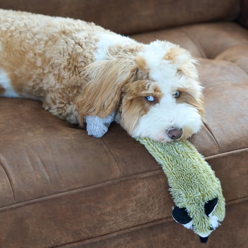 SPOT Skinneeez Raccoon 23 Inch Stuffing-Free Dog Toy – Soft Plush Tug Toy with Two Squeakers for Medium and Large Dogs – Mess-Free Interactive Chew Toy - style: Raccoon