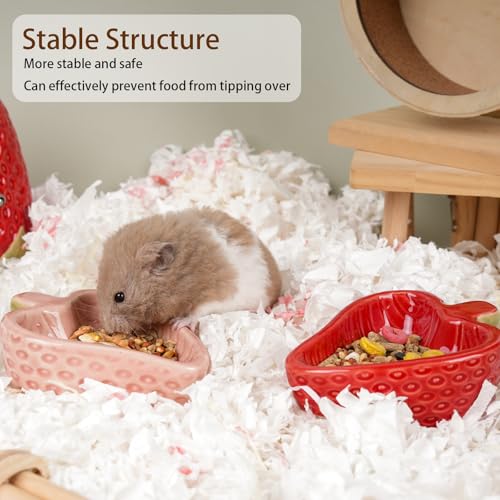 2 Packs Strawberry Ceramic Hamtser Food Bowls Wet&Dry Use(Pink+Red) | Easy to Clean Smooth-Surface Safe Durable-Ceramic Feeding Dish for Small Animals Gerbil Dwarf Hamster Rat Mice Guinea Pig - color: Pink and Red