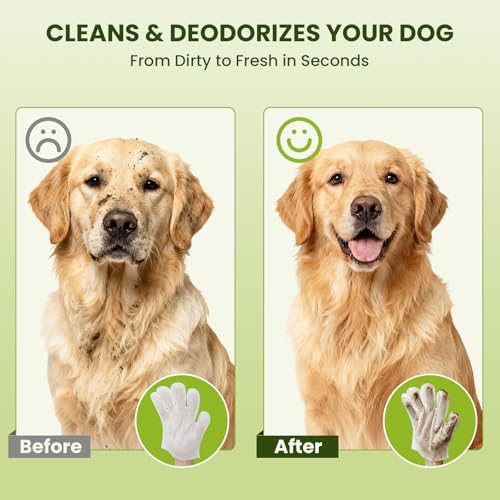 36PCS Hypoallergenic Pet Glove Wipes for Dogs, Cats & Small Animals | No-Rinse Deodorizing Dog Wipes for Paws, Butt, Eyes & Ears | Pet Wipes for Stain & Odor Cleanup Between Baths & Travel - size: 3 Pack