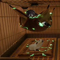 LEFTSTARER Noctilucent Luminous Guinea Pig Rat Hammock Bunkbed Hanging Tunnel and Soft Bed Mat for Ferret Hedgehog Squirrel Hideout Cage Accessories (3.Bunkbed Hammock and Mat) - color: 3.Bunkbed Hammock and Mat
