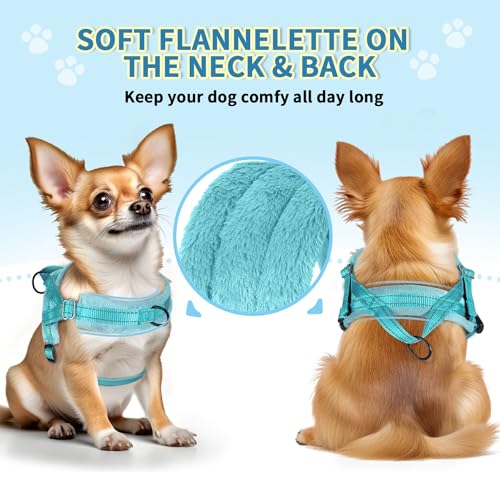 SlowTon No Pull Small Dog Harness and Leash Set with Front Clip | Soft Padded, Neck & Chest Adjustable, Lightweight, Anti-Twist, Puppy Vest Harness Pet Lead Combo for Small Medium Dog, TL XS - color: Teal, size: X-Small