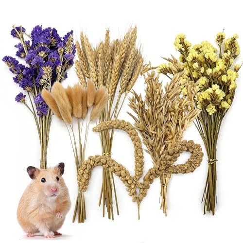 Natural Hamster Flower & Herb Habitat Deocr, Edible Hamster Sprays Flowers Bedding Mate, Hamsters Cage Enrichment Decoration Accessories for Gerbil Dwarf Syrian Hamsters Guinea Pig Mice