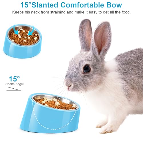 Tilted Dog Bowl Non-Slip & Non-Spill Pet Feeder with Elevated Detachable Melamine Stand, Easy to Get Food Dog Dish, S/100ml Sky Blue - color: Sky Blue, size: Small(100ml)