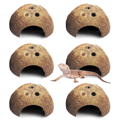 PINVNBY Natural Coconut Reptile Hideouts Lizard, Coco Hut Hermit Crab Hut Aquarium Fish Hide Cave for Small Reptile Crested Gecko Leopard Gecko Spider Snail Climber Toys (6 PCS Natural Surface) - size: 6 PCS Natural Surface