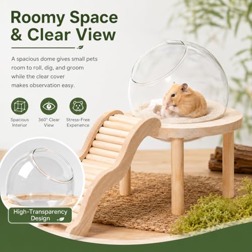 Hamster Bath Container with Clear Dome, Anti-Scatter Dust Box for Dwarf Hamsters, Syrian Hamsters & Gerbils, Easy-Entry Small Pet House (Medium) | Sand bath for hamsters, anti-scatter clear dome, curved ladder, scoop included for dwarf, Syrian hamsters an