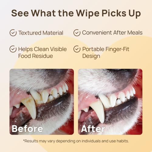 HICC PET Mouth Cleaning Finger Wipes for Dogs & Cats, 50 Count | Textured finger-fit wipes for routine mouth cleaning and visible food residue on accessible tooth surfaces after meals - color: Mint, size: 50 Count (Pack of 1)