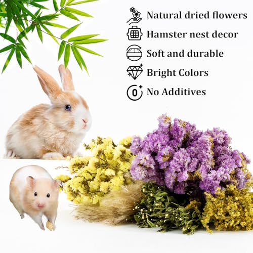 Sukh 42Pcs Hamster Sprays Natural - Sprays & Forage for Small Animals | Chew Herbs for Syrian Dwarf Hamsters & Guinea Pigs, Habitat Dry Flowers Decor, Hideout Enrichment, Cage & Bedding Accessories