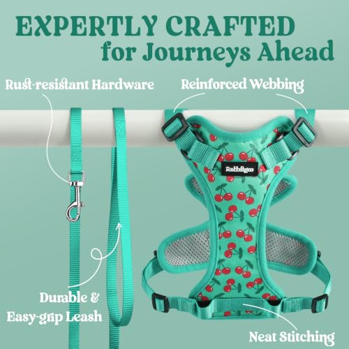rabbitgoo Cat Harness and Leash Set, Escape Proof Vest, Cherry Grove | Soft Breathable Mesh, Easy Adjustable Fit, Snap Buckles, Sturdy Clip, Reflective Strips, for Kittens & Small Cats Walks, Xxs - color: Cherry Grove, size: Xxs