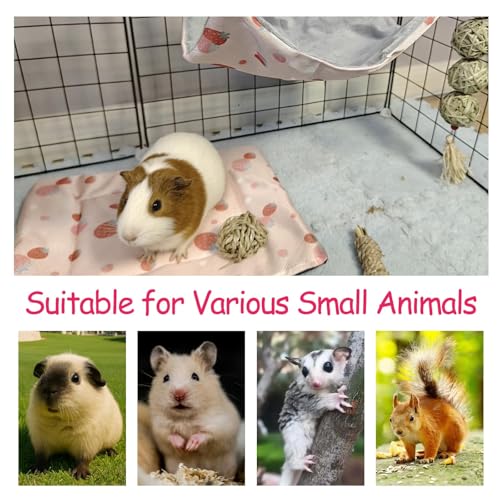 kathson 5 PCS Guinea Pig Hammock Set, Washable Rat Hammock, Guinea Pig Hideout Bed Soft Hamster Hanging Tunnel Mats Small Pets Cage Accessories for Chinchilla, Sugar Glider, Squirrel(Pink) - color: Pink