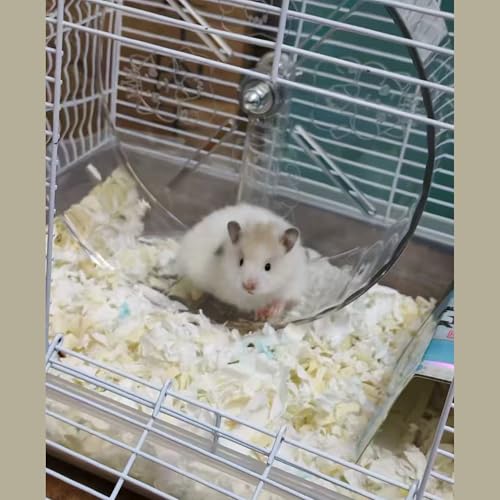 Silent Hamster-Wheel 7.1 Inch, Nonslip Spinning-Wheel, Exercise Hamster-Toys Platform for Hamster Cage Rat Cage Mouse Cage Small Pet Accessories for Hedgehog Gerbil Chinchilla Guinea Pig