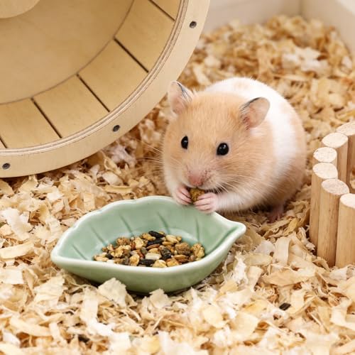 Small Ceramic Bowls, Leaf-Shaped Hamster Food and Water Bowl for Hamsters Guinea Pigs Reptile Hermit Crab and Birds, Easy to Clean & Anti-Bite (Green)