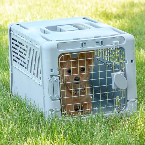 SportPet Designs Collapsible X-Small Pet Travel Carrier (Blue), Hard-Sided Kennel for Small Dogs, Puppies, Cats, Kittens, Animals up to 20lbs, Washable Home & Outdoor Pet Crate, 19.6"L x 13.5"W x 12"H - color: 19" X-Small (Blue)