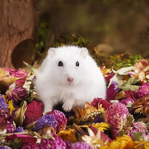 Amonk Natural Flower Bedding for Hamsters, Rabbits & Small Pets | 100% Safe & Odor Control | 200g/7.05oz No Herbs Soft Floral Habitat Decor | Non-Toxic, Eco-Friendly Bedding for Cages & Nesting