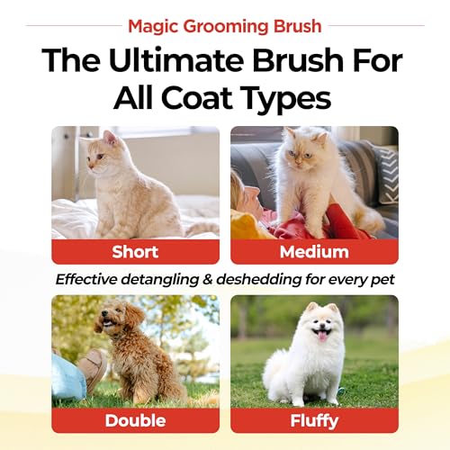 JAYU PET Magic Grooming Brush – Cat Brush for Shedding, Dual-Length Stainless Steel Bristles, One-Click Self-Cleaning, Vertical Deshedding Comb, Professional Pet Grooming Tool