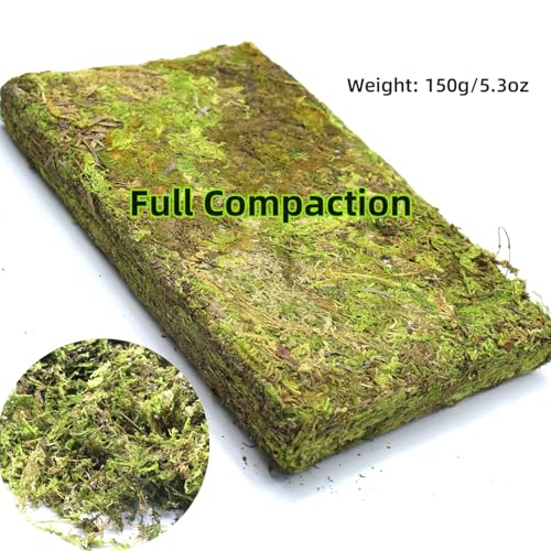 DoubleWood Natural Forest Moss for Small Pets, 5.2 oz Artificial Moss, Decorative Bedding and Nesting Material for Hamsters, Gerbils, Mice, Degus or Other Small Animal (5.2 oz)