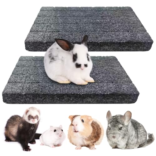 BNOSDM 2Pcs Chinchilla Scratch Foot Pads Hamster Grinding Claw Pads Natural Bunny Lava Stone for Teeth Rabbit Scratching pad Chew Toy for Guinea Pig Ferret Rabbit Mouse(Black) - color: Black 2x Small