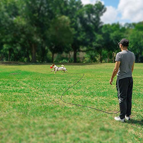 Reflective Cat Long Leash 30 FT, Outdoor Backyard Cat Tie Out Lead, Black | Backyard Play, Reflective Nylon Rope, Dual 360° Swivel Hooks, Lightweight Cat Tie Out,Black M, Small Pets - color: Black, size: 30 FT