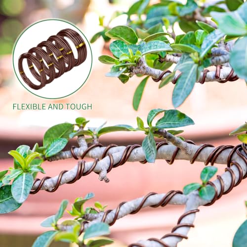 Mudder 5 Roll Aluminum Bonsai Training Wire Tree 2/2.5/3/4/6mm 42 Feet Total with Bonsai Wire Cutter Anodized Training for Holding Branches Small Trunks(Brown) - color: Brown, size: 2/2.5/3/4/6mm