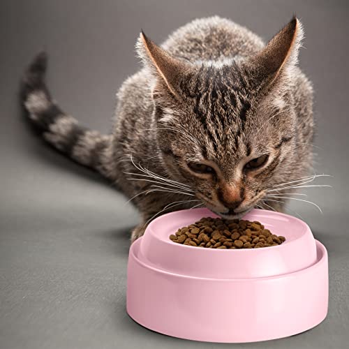 CatGuru Cat Bowls, Whisker Friendly Food Bowl for Indoor Cats, Reliefs Whisker Fatigue, Wide Kitten Dish, Non Slip Pet Dishes, Shallow Pet Plates (Pink, (Pack of 2)) - color: Pink, size: Dish - Set of Two