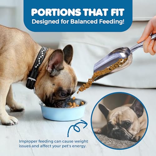 SunGrow Large Cat Litter and Food Scoop, Life Transforming 2-in-1 Scooper, Reduces Hand Fatigue, Saves Clear Litter, Makes Scooping Faster and Easier (Silver, Small)