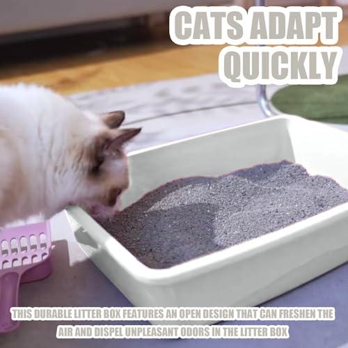 Small Litter Box, Plastic Kitten Litter Box, 13.9 x 9.8 x 3 Inch Open Litter Box for Small Pet, Easy to Clean (White 4PCS) - color: White 4PCS