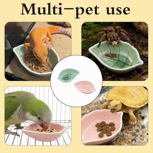 Small Ceramic Bowls, Leaf-Shaped Hamster Food and Water Bowl for Hamsters Guinea Pigs Reptile Hermit Crab and Birds, Easy to Clean & Anti-Bite (Green)