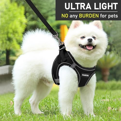 GAMUDA Small Dog Harness Collar and Leash Set, Step in No Chock No Pull Linen Fabric Soft Mesh Dog Vest Harnesses Reflective for Dogs Puppy Cats Kitten Rabbit (Black, XXS) - color: Black, size: XXS