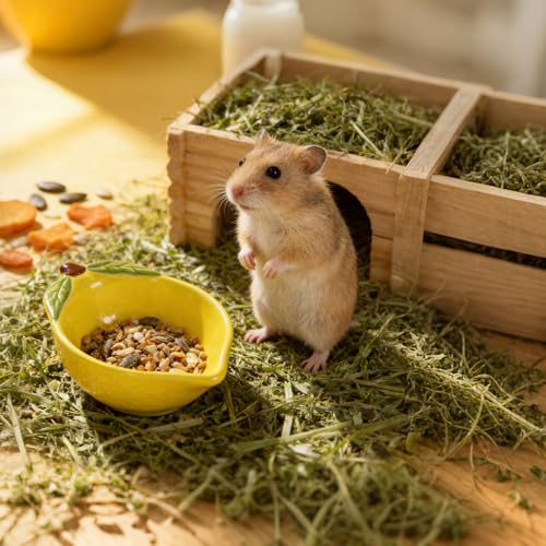Small Guinea Pig Food Bowl Cute Ceramic Hamster Water Bowl Ferret Rat Chinchilla Rabbit Feeding Dish Young Animal Feeder (Lemon Yellow) - color: Lemon Yellow