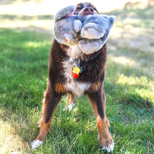 KONG Toughz Durable Plush Dog Toy (Bunny) - style: Bunny