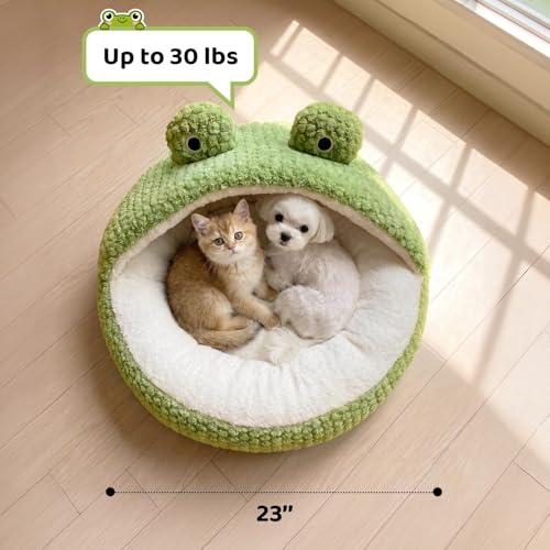 CWV Cute Cat Beds Kitten Beds, Soft Small Dog Beds, Washable Pet Beds for Puppy and Kitty, Funny Frog Cat Cave, 23 Inches - color: White＆Green