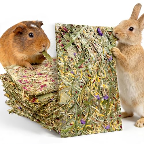Abizoo Rabbit & Guinea Pig Treats 8 Pack Large Timothy Hay Chips | Bunny Chew Toys, Herbal Flowers, Vitamins and Minerals, Timothy Hay Forage Mix