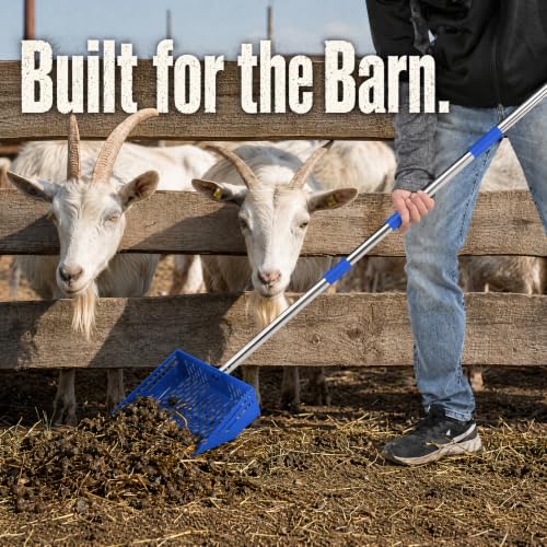 2-in-1 Chicken Poop Scooper & Rake, 10 Inch Chicken Coop Scoop with 37" to 65" Adjustable Stainless Steel Handle, Pooper Scooper Set with Gloves, Pet Farm Animal Waste Cleaning Tools (Blue) - color: Blue