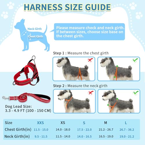SlowTon No Pull Small Dog Harness and Leash Set with Front Clip | Soft Padded, Neck & Chest Adjustable, Lightweight, Anti-Twist, Puppy Vest Harness Pet Lead Combo for Small Medium Dog, R S - color: Red, size: Small