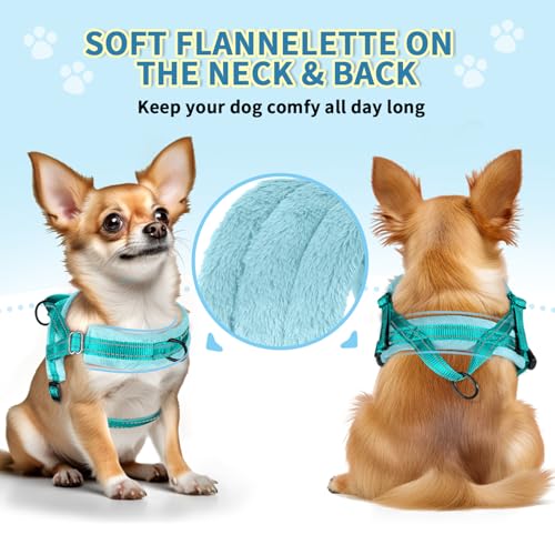 SlowTon No Pull Small Dog Harness and Leash Set with Front Clip | Soft Padded, Neck & Chest Adjustable, Lightweight, Anti-Twist, Puppy Vest Harness Pet Lead Combo for Small Medium Dog, TL XXS - color: Teal, size: XX-Small