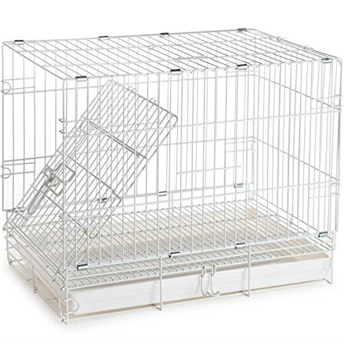 Large Portable Durable Metal Travel or Veterinary Easy Collapsable Parrot Bird Carrier Bite-Proof Carrier Cage Easy Clean Pull Out Tray Stainless Steel Feeder Bowls Natural Wooden Perch - color: White