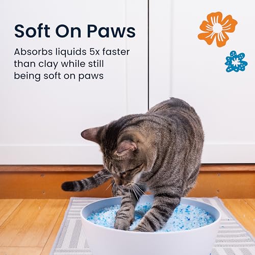 Crystal Clean Premium Fresh Scent Crystal Cat Litter with Odor Control (5X Faster), Best Lightweight, Non Clumping Kitty Litter to Absorb Urine, Dries Solid Waste (2X4.3 Lb Bags) - size: 2X4.3 Lb Bags