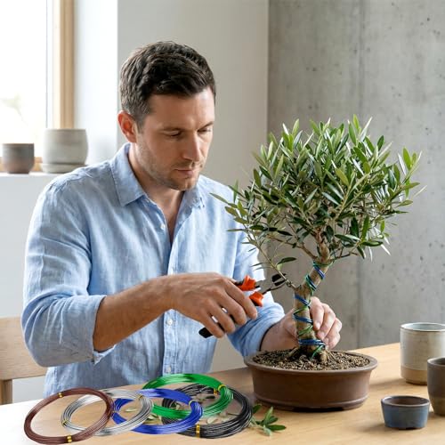 Mudder 5 Roll Aluminum Bonsai Training Wire Tree 160 Feet Total with Bonsai Wire Cutter Anodized Training for Holding Branches Small Trunks(1/1.5/2.0mm,Modern) - color: Modern, size: 1/1.5/2.0mm