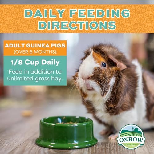 Oxbow Forage Wise Adult Guinea Pig Food, All Natural Adult Guinea Pig Pellets, Formulated with Timothy Hay & Vitamin C, No Artificial Colors & Preservatives, Made in the USA, Vet Recommended, 4 lbs
