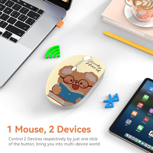 FMOUSE Cute Cartoon Silent Wireless Mouse, Dual Mode Bluetooth & USB 2.4G | Study Buddy Bear, Ideal for Students Kids Back to School | AA Battery Powered | Compatible with Laptop Mac iPad Tablet PC - color: Study Buddy Bear