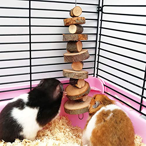 Small Animal Chews Toy Apple Wood Block Cage Hanging Molars Treats Snack | for Hamsters Rabbits Bunny Bird Parrots Chinchilla Guinea Pig Gerbils Squirrels, 2 Pack