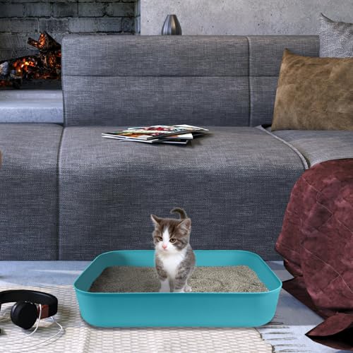 Small Litter Box, Plastic Kitten Litter Box, 13.9 x 9.8 x 3 Inch Open Litter Box for Small Pet, Easy to Clean (Blue 4PCS) - color: Blue 4PCS