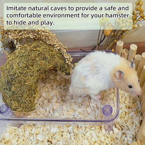 kathson Hamster Hideout House,Natural Mossy Coconut Hut Hides Hideaway | Pet Hiding House, Small Animal Cage Accessories for Mouse Mice Rat Gerbil Reptiles - size: 1 Pcs Small