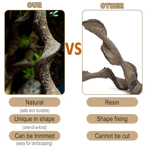Reptile Decor 3PCS Natural Forest Branch Terrarium Habitat Decoration Lizard Climbing Tree Branch for Bearded Dragon Gecko Snake Frog Chameleon Spider