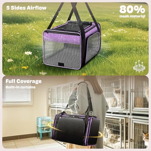 Top and 2 Sides Expandable Pet Carrier 17x11x9.5 TSA Airline Approved | Dog Carriers for Small Dogs, Soft-Sided Cat Carrier, Anti-Scratch Mesh, Lockable Zippers, for Kitten, Rabbit, Puppy, Purple - color: Purple, size: 17.0"L x 11.0"W x 9.5"H