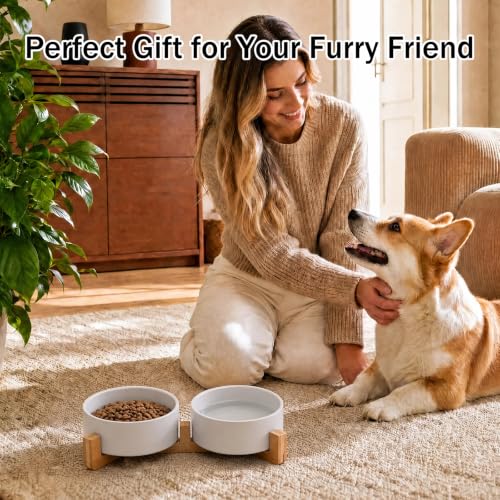 MateeyLife Ceramic Dog and Cat Bowls with Stand, 2-Pack Food and Water Bowl Set - Non-Slip Pet Bowls for Small & Medium Size Dogs，28.7OZ(White) - color: White, size: M-3Cup
